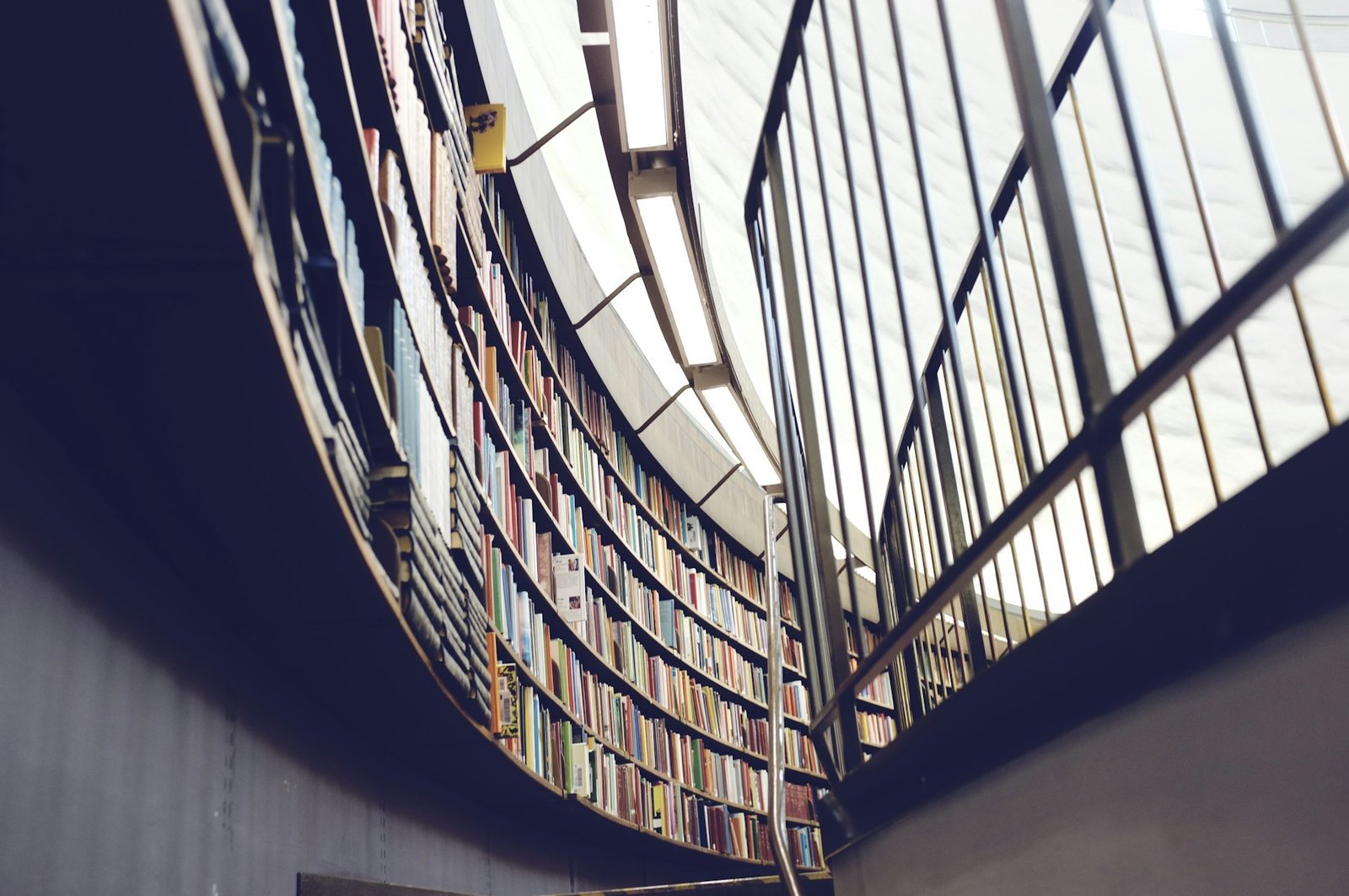 Curved library bookshelves beneath tall windows.